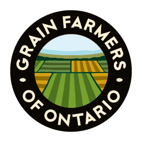 GFO_logo