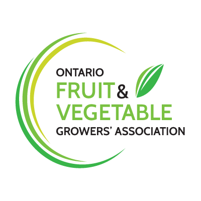 OFVGA-square-logo